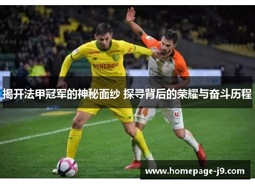 揭开法甲冠军的神秘面纱 探寻背后的荣耀与奋斗历程